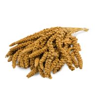 JR Birds Spray Millet yellow 1 kg (1)