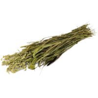 JR Meadow Harvest 80 g (1)