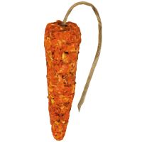 JR Farm Závěsná mrkvička 60 g