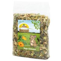 JR Degus' feast 1,6 kg