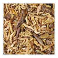 JR Farm Proteinový koktejl 75 g (1)